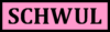 SCHWUL Logo